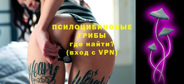 мет Арсеньев